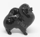 Pomeranian_balck1-1-um copy